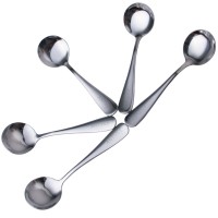 ANTVEE (Set of 5) Stainless Steel  Round Spoons